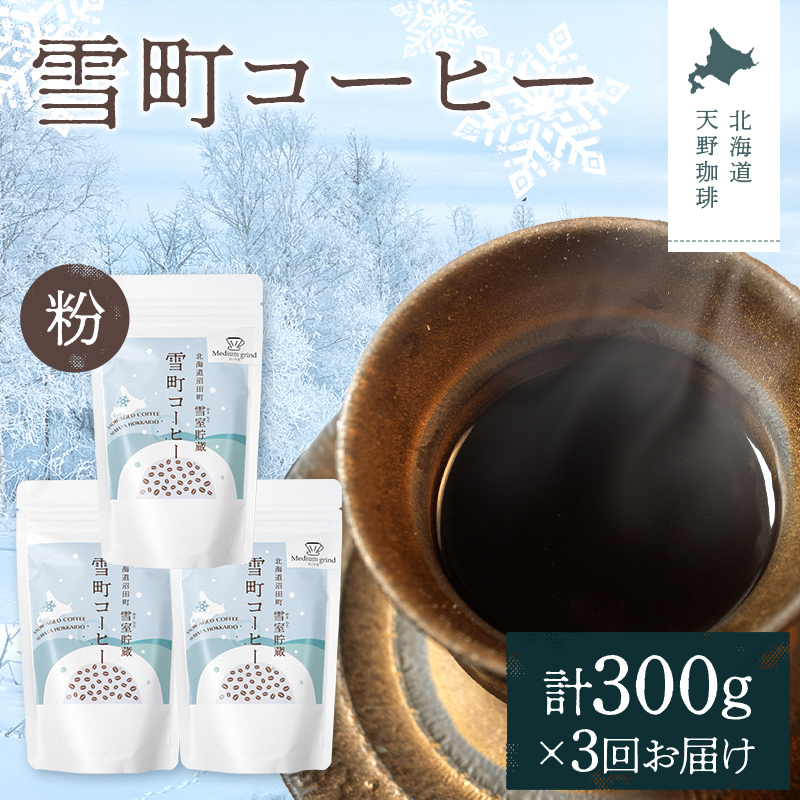 【定期便】雪町コーヒー 粉（100g）3個セット×3回 自家焙煎 低温貯蔵 エチオピア 北海道 沼田町 n-0126