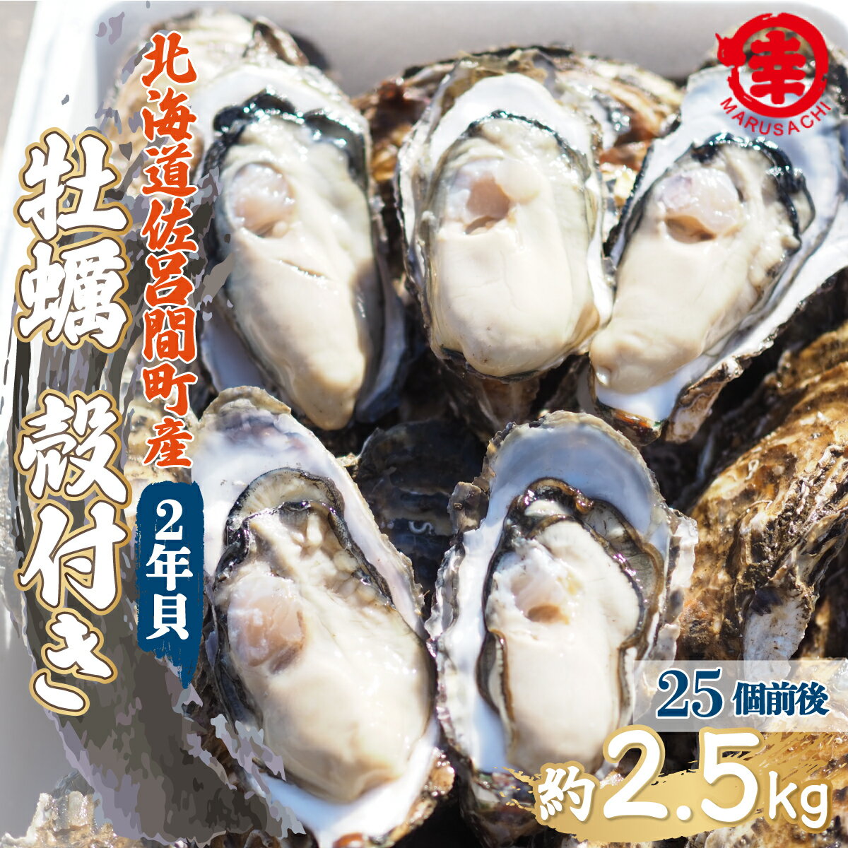 【ふるさと納税】【先行予約】【10月中旬から順次発送】カキ 殻付き 2年貝 約2.5kg（25個前後） 佐呂間産 【 ふるさと納税 人気 おすすめ ランキング 牡蠣 カキ かき 貝 牡蠣貝 殻付き ギフト 贈答 バーベキュー 冷蔵 海鮮 オホーツク 北海道 佐呂間町 送料無料 】 SRMA002