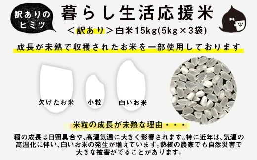 訳あり 緊急支援品 家計応援米 計 15kg（5kg×3袋）精米 白米