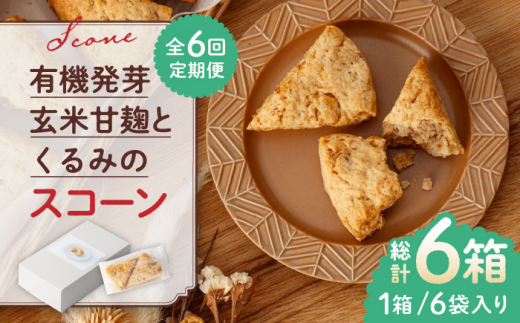 
【全6回定期便】有機発芽玄米甘麹とくるみのスコーン【BANBA BON BONS】おかし 熊本 スコーン クルミ [ZDW003]
