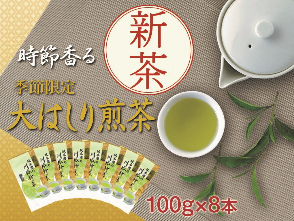 【ふるさと納税】新茶 静岡川根茶大走り新茶100g×8本