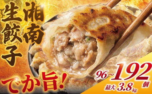 
                  ぎょうざ 餃子 96～192個 最大3.8kg (48個×2～4パック) 国産 小分け | 餃子 ぎょうざ 餃子 ぎょうざ ギョーザ 餃子 湘南餃子 湘南ぎょうざ 焼き餃子 手作り餃子 gyouza ギョーザ 冷凍餃子 生餃子 豚肉 肉 冷凍 おかず 冷凍食品 中華 簡単調理 ブランド豚 サノフーズ 神奈川 湘南 藤沢
                