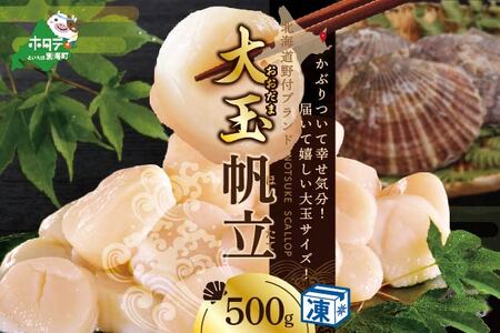 北海道 野付産 冷凍ホタテ 貝柱 大玉（Sサイズ）ホタテ500ｇ【NK000NF02】