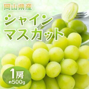 岡山県産シャインマスカット　1房・約500g(クール便)【配送不可地域：離島】【1614353】
