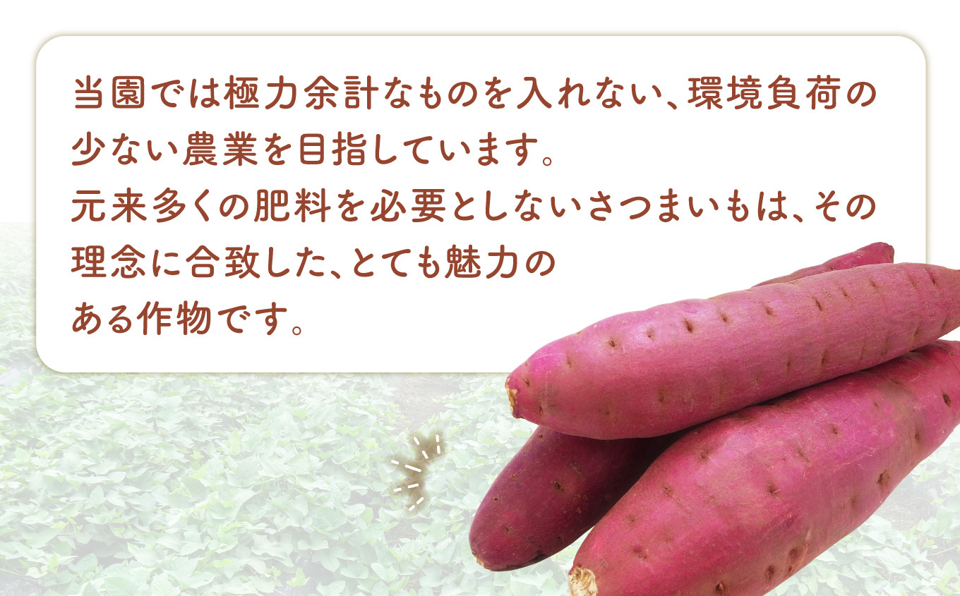 無農薬 さつまいも シルクスイート 5kg 福島県 大玉村産 SS～Sサイズ混合【14026】