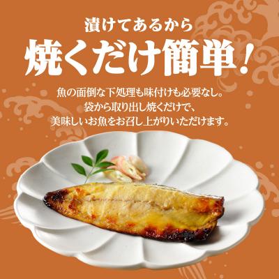 ふるさと納税 鹿児島市 【海幸】漬け魚詰合せ　K065-005 |  | 02