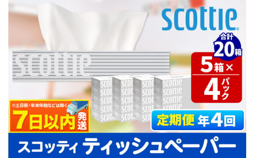 《3ヶ月ごとに4回お届け》定期便 ティッシュペーパー スコッティ 200組 20箱(5箱×4パック) ティッシュ 秋田市オリジナル