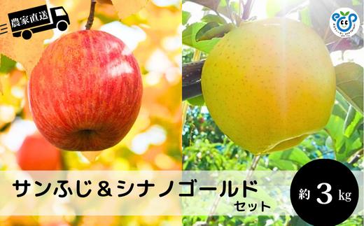 HF13-25A【信州松川町産】サンふじ＆シナノゴールド2種セット 約3kg／12月上旬頃 発送予定 // 長野県 南信州 オリジナル品種 減農薬栽培 エコファーマー認証農家 りんご 詰合せ 食べ比べ
