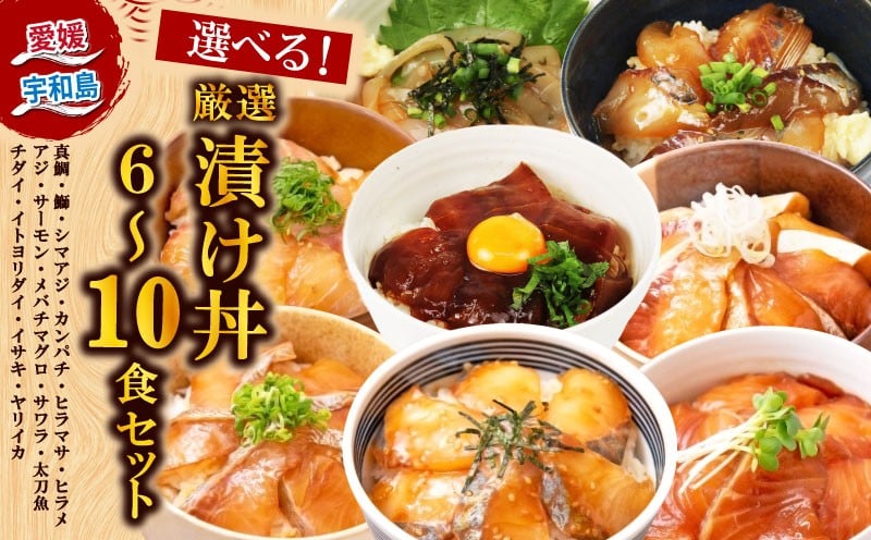 
            漬丼 厳選 活締め 全15種  お任せ 漬け丼 選べる 容量 6食 ～ 10食 セット 南予ビージョイ 真鯛 鰤 シマアジ カンパチ ヒラマサ ヒラメ アジ サーモン メバチマグロ サワラ 太刀魚 チダイ イトヨリダイ イサキ ヤリイカ 食べ比べ 人気 加工品 新鮮 水産品 漬け 刺身 海鮮 海鮮丼 数量限定 愛媛 宇和島
          