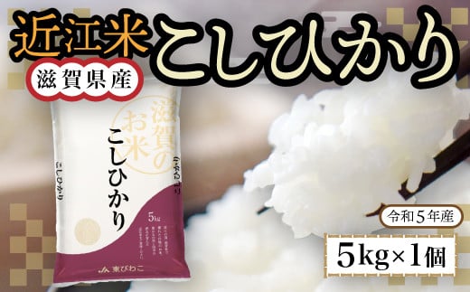 
近江米　こしひかり　白米５㎏ 令和6年産 BD05
