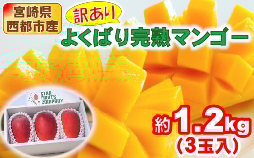 【先行予約】訳あり よくばり完熟マンゴーセット約1.2kg（3玉）ご家庭用 スターフルーツカンパニー＜1.8-25＞果物 くだもの フルーツ 完熟 宮崎県西都市