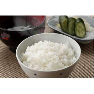 【食味鑑定士厳選】岡山県産 コシヒカリ10kg(5kg×2袋)【1643907】