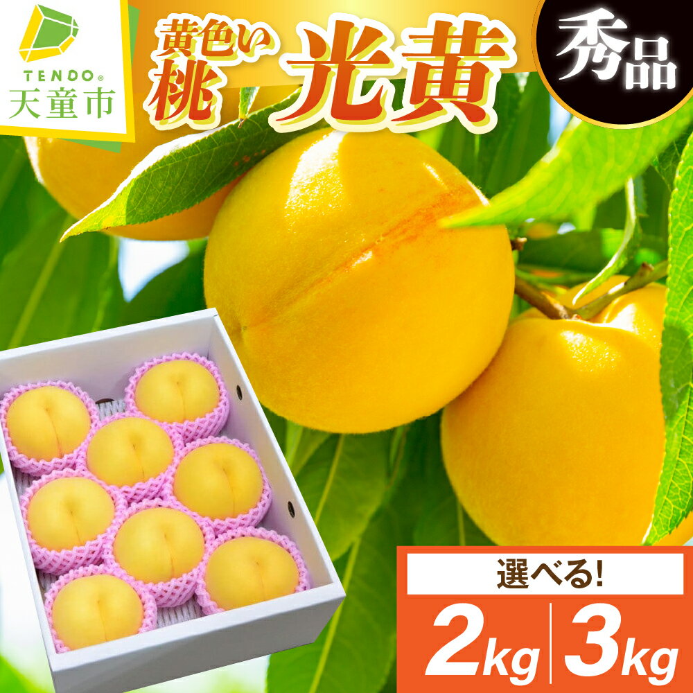 【ふるさと納税】 もも ( 光黄 ) 選べる 2kg / 3kg 先行予約 令和8年産 2026年産 黄桃 桃 ピーチ peach 果物 くだもの デザート 旬 冷蔵 お取り寄せグルメ 産地直送 送料無料 【 山形県 天童市 】