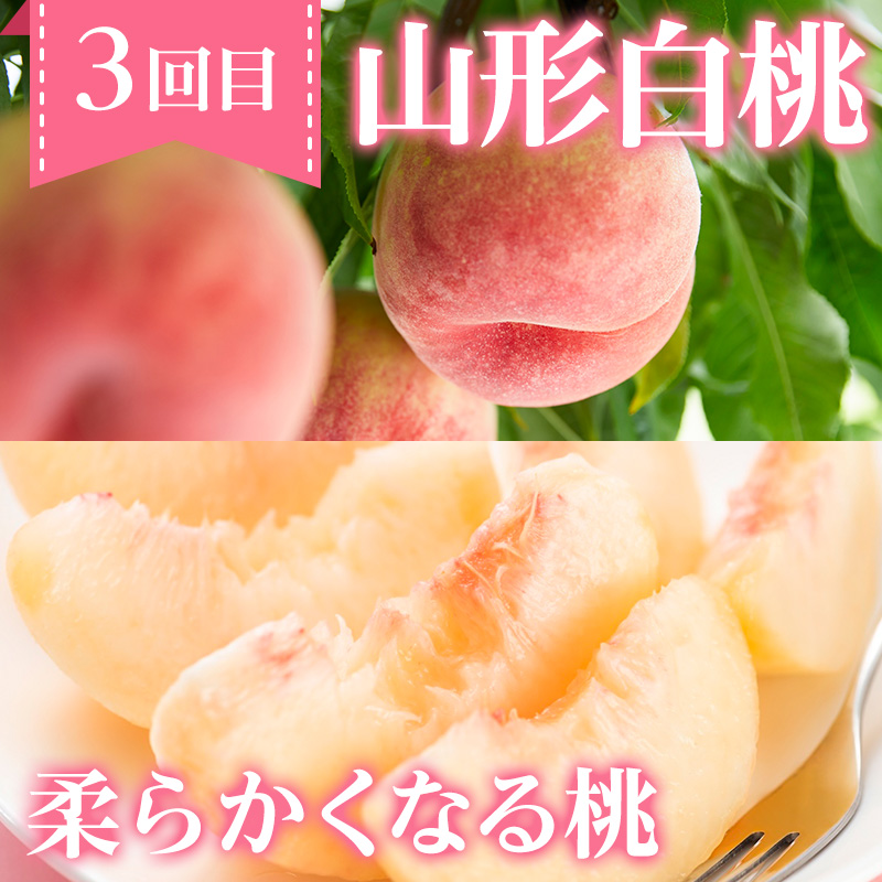 【定期便4回】ノノハナフルーツ 笑顔花咲く 食べ切り定期