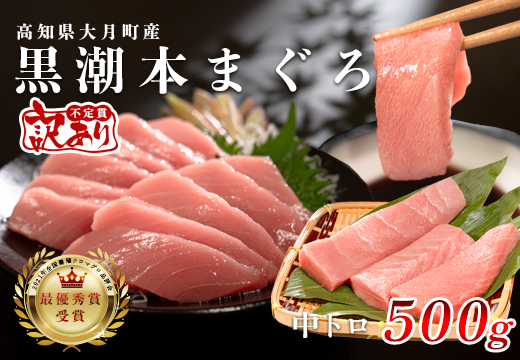 【訳あり】本マグロ 中トロ500g 不定貫 養殖マグロ 高知県産 指定日発送可能　ふるさと納税 訳あり わけあり 本マグロ 中トロ クロマグロ 養殖マグロ 黒潮本まぐろ 大月町 5人前 6人前 刺身用 海鮮 ギフト お得 数量限定 トロ 魚 刺身セット 送料無料 ご自宅用 業務用 冷凍 人気 本鮪 鮮度抜群 美味しい 高知県産 [91_0362]