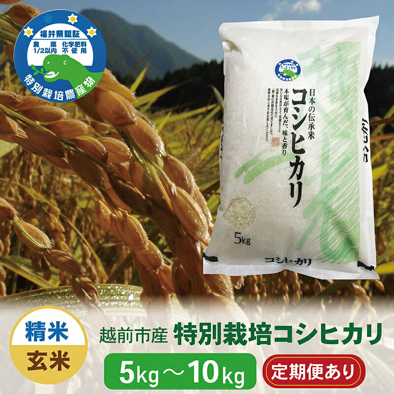 【ふるさと納税】令和7年度 新米 特別栽培 越前市産コシヒカリ（5kg・10kg／精米・玄米／定期便3回・6回）/ 送料無料 福井県 越前市 米 コシヒカリ 減農薬 新生活 高山農園(18209)