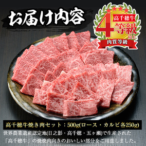 高千穂牛 焼き肉セット(ロース・カルビ各250g)【MT010】【JA高千穂地区ミートセンター】