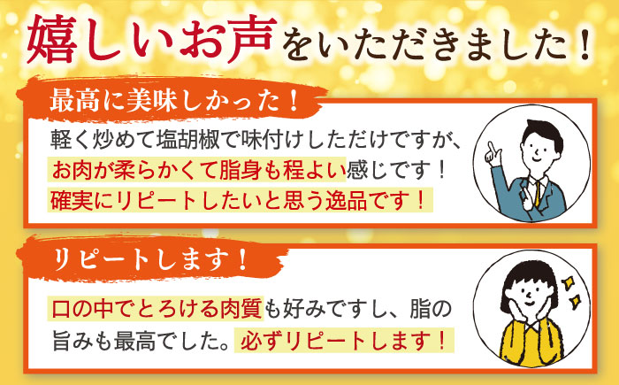 長崎和牛 サーロイン ステーキ 肉 約230g×3枚 /長崎県産和牛 牛肉 国産牛【川下精肉店】 [OAA006]
