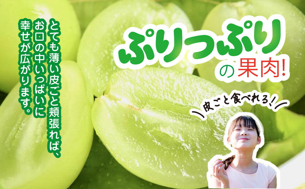 平山ぶどう園のシャインマスカット（種なし）700g × 1房 / KTRBV001 / シャインマスカット マスカット ますかっと 種なし ぶどう ブドウ 葡萄 令和7年発送