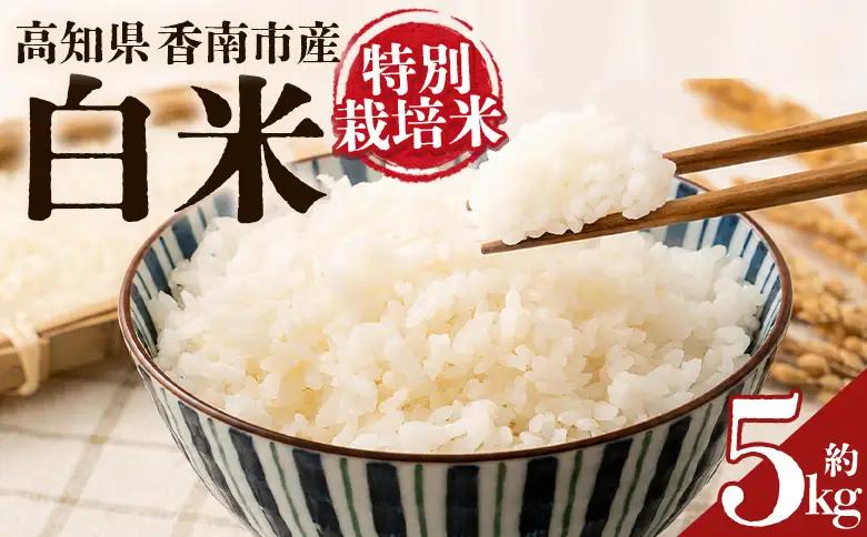 令和８年度産 白米（特別栽培米）5kg ka-0002