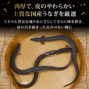 【 うなぎの蒲焼き 】 うなぎの蒲焼き 4尾 (135g以上×4)