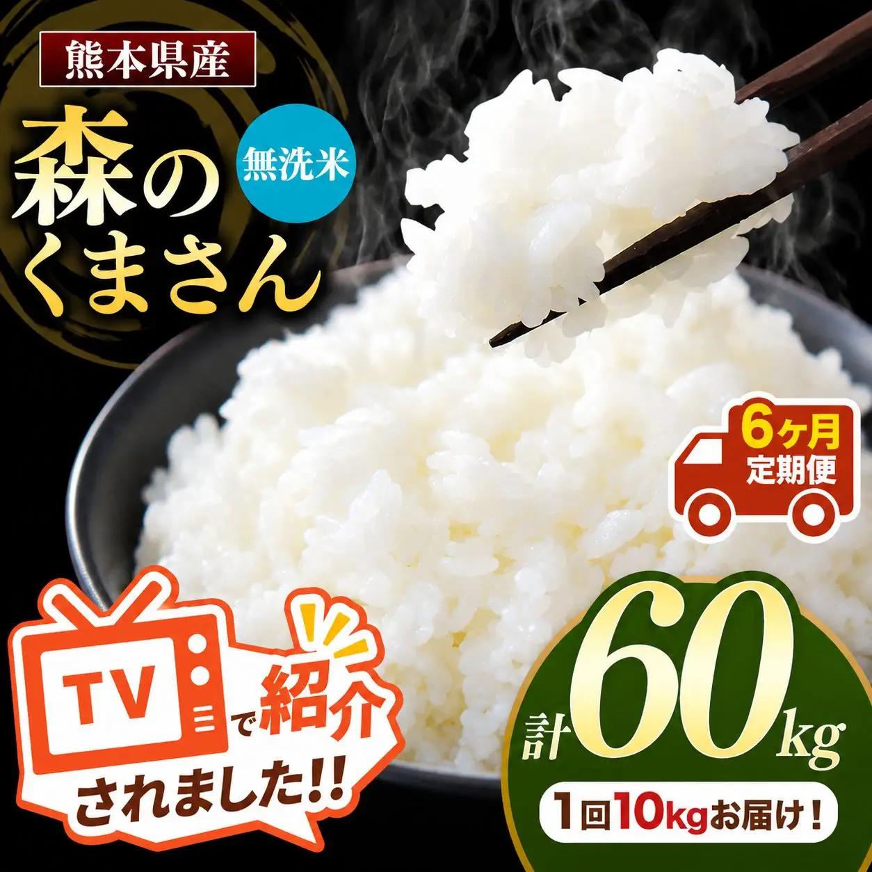 【 定期便 6回 】 R7年産 熊本県産 無洗米 森のくまさん 10kg