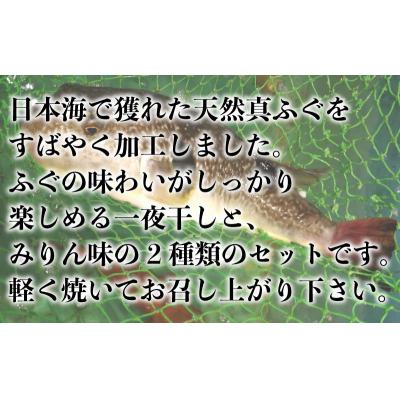 ふるさと納税 下関市 真ふぐ 一夜干し みりん干し セット 500g×2 1kg 冷凍 CF107 |  | 01