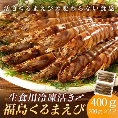 生食用 瞬間冷凍活き〆福島くるまえび(200g×2P)【配送不可地域：離島・沖縄】【1581138】