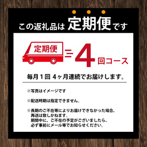 コーヒー 定期便 4回 タリーズコーヒー 390ml × 24本 計96本 無糖 ブラック タリーズ 無糖ブラック 砂糖不使用 缶 缶コーヒー オフィス キャンプ アウトドア ドライブ ギフト 徳島県