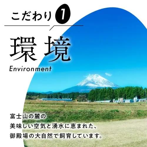 【定期便6ヶ月】《毎月12日と27日にお届け》御殿たまご 赤たまご 24個入×月2回（破損保障含む）（6個入モウルドパック×4P入）◇ ｜ 卵 タマゴ 玉子 たまごかけご飯 生卵 鶏卵 卵焼き 国産 