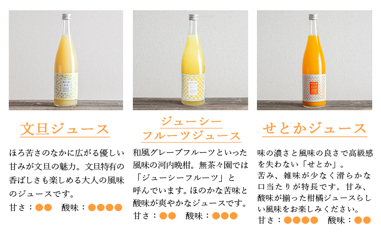 ＜無茶々園 柑橘ジュース 4本セット（720ml×4種類）＞※入金確認後、1か月以内に順次出荷予定 果汁 100% 温州みかん 果物 オレンジ 甘夏 ポンカン 不知火 ひょう柑 ジューシーフルーツ 河内晩柑 伊予柑 清見 文旦 せとか 南津海 ギフト 贈答用 愛媛県 西予市
