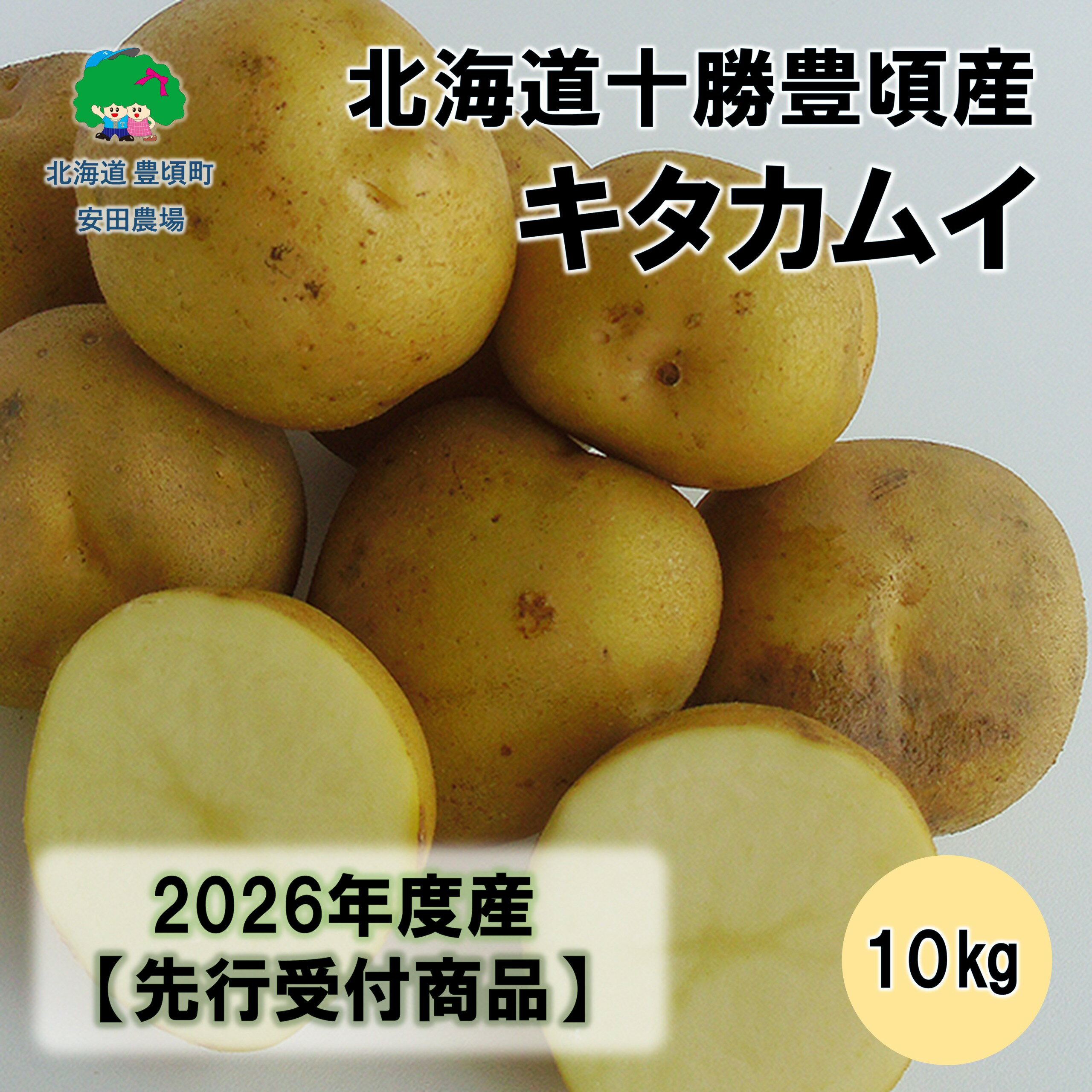 【ふるさと納税】北海道十勝豊頃産キタカムイ約10kg 【2026年秋出荷】（先行受付）［安田農場］" 北海道 十勝 豊頃町 " 先行予約 予約 特産 農家直送 数量限定 送料無料 じゃがいも ジャガイモ いも ホクホク ほくほく 甘い 野菜《10月中旬頃出荷》