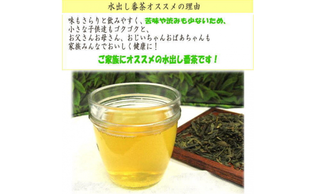 AD071．水出し番茶１２０パック（２０P×６袋）