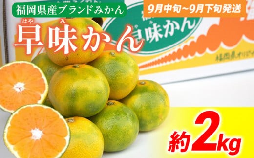 
                  期間限定 みかん 福岡県産ブランド 「早味かん」 約2kg フルーツ 返礼品 お取り寄せグルメ お取り寄せ グルメ 果物 南国フルーツ CO016
                