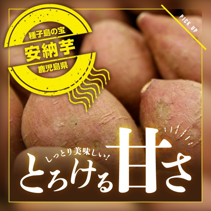 n046 ＜先行予約受付中！2026年10月中旬頃より順次発送予定＞数量限定！種子島産 安納芋(Mサイズ・10kg) 国産 安納芋 紅 種子島 芋 イモ いも さつまいも さつま芋 安納いも セット 