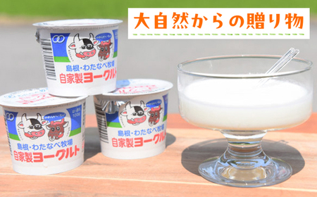 【定期便6回】わたなべ牧場のヨーグルトセット ／ 24個 ×6ヵ月 ヨーグルト 加糖 牧場 生乳 こだわり 甘み 搾りたて 安心 自然派 化学合成物質不使用 定期便 島根県 安来市