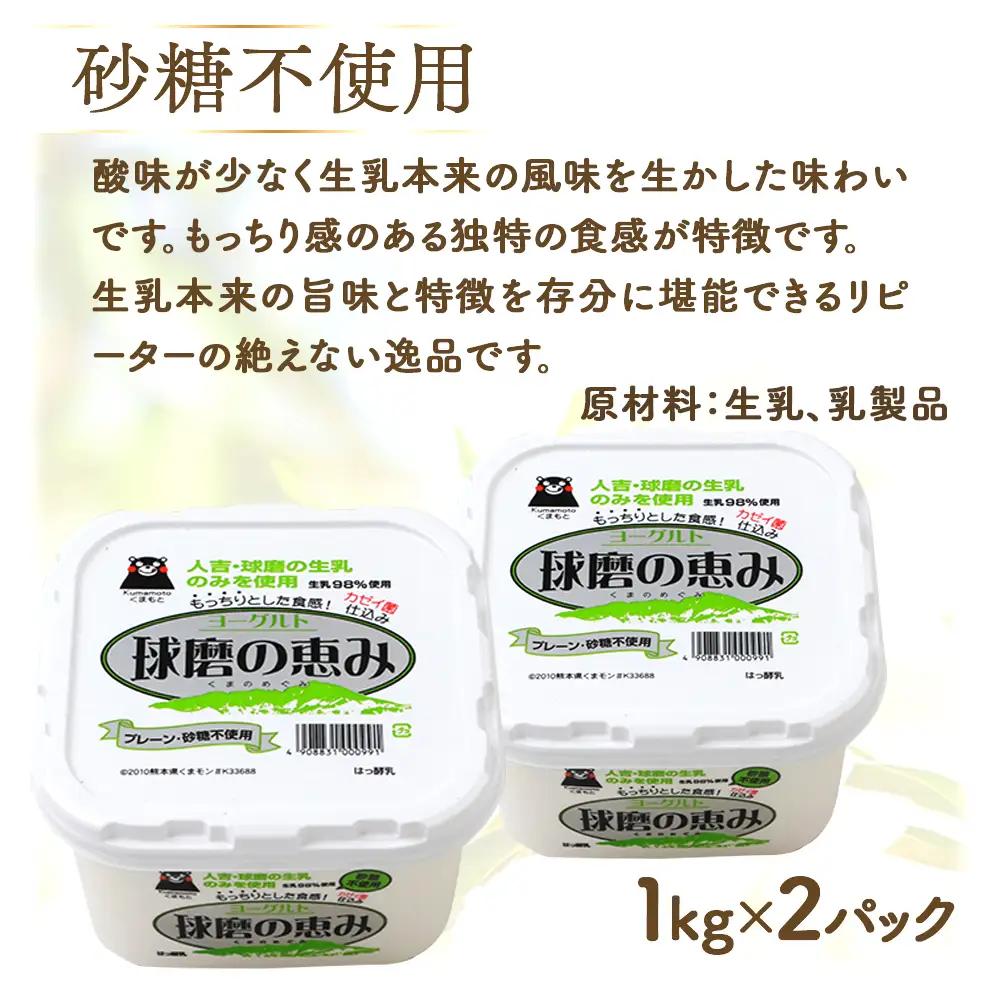 球磨の恵み ヨーグルト 加糖・砂糖不使用 1000g×各2個セット 合計4kg【 新鮮 生乳使用 とろーり もっちり 加糖ヨーグルト 砂糖不使用 プレーンヨーグルト 食べるヨーグルト 】 074-04