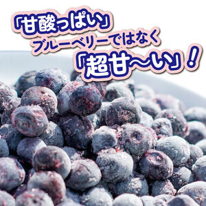 冷凍 ブルーベリー 約1350g 【 ブルーベリー 】