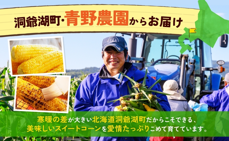 北海道産 青野農園 めぐみ ゴールド 2Lサイズ 約10kg 先行受付 8月下旬頃お届け スイートコーン 北海道 とうもろこし トウモロコシ コーン 恵味 旬 朝採れ 新鮮 野菜 農作物 産地直送 甘