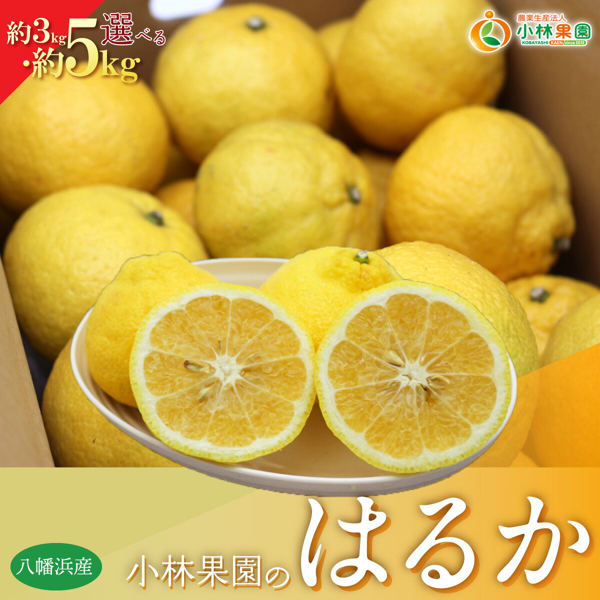 【ふるさと納税】【先行受付】小林果園のはるか 選べる容量 (約3kg/5kg)【C24-22】ふるさと納税 みかん ミカン 柑橘 柑橘類 フルーツ 果物 くだもの 人気 美味しい 選べる容量 3kg 5kg 愛媛県 八幡浜YWTAD015
