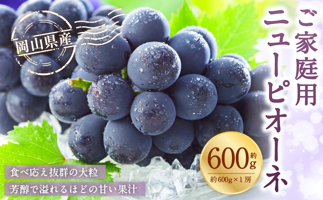 
                  ご家庭用 岡山県産 ニューピオーネ 約600g （ 600g×1房 ） ぶどう ブドウ 葡萄 くだもの 果物 果実 フルーツ 国産 【 2026年8月下旬～9月下旬発送予定 】
                
