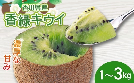 
                  濃厚な甘み！ 香緑キウイ 約1kg 約1.4kg 約2kg 約3kg 香川県産 香緑 キウイ キウイフルーツ 果物 ふるさと納税キウイ 香川県 丸亀市
                