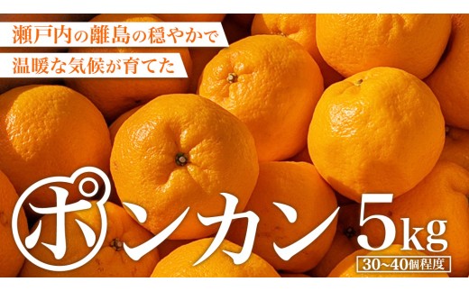 大崎上島産 ポンカン 5kg ( 30～40個程度 ) ぽんかん 柑橘 みかん フルーツ 柑橘 蜜柑 お取り寄せ