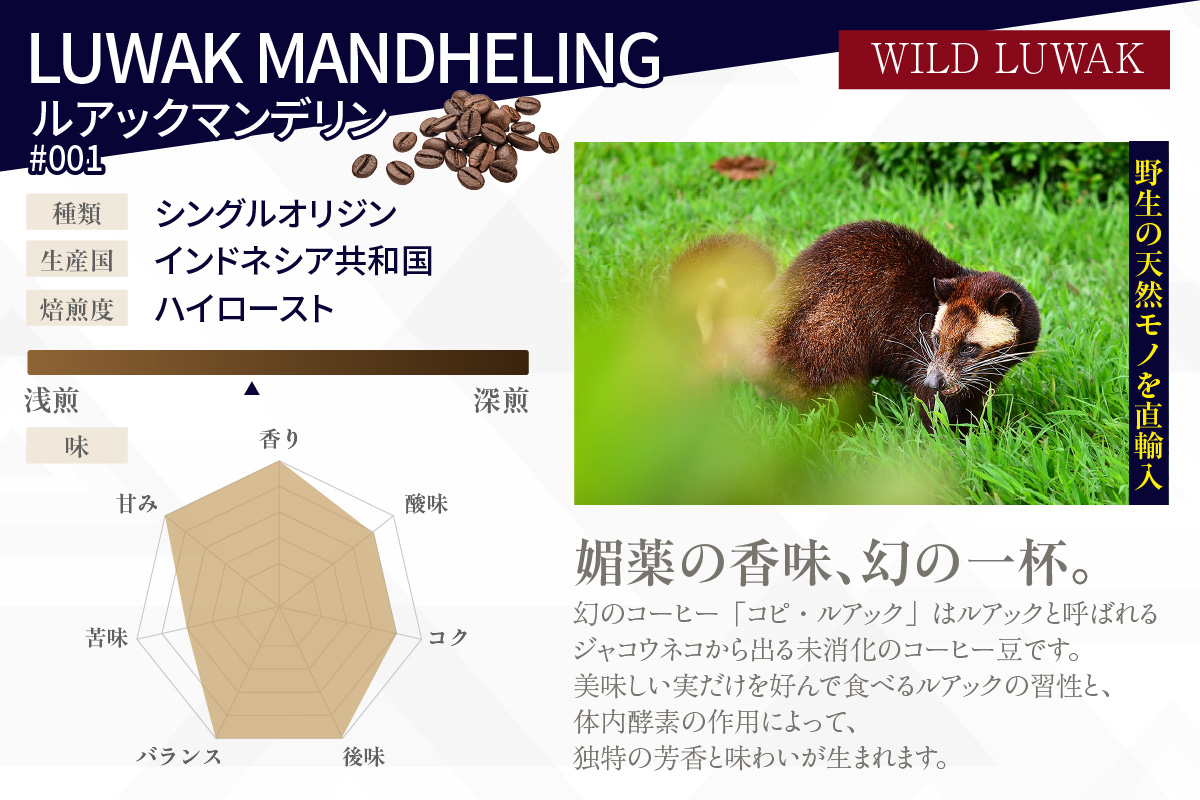 [№40-3234]レアコーヒー・プレミアムセット【粉に挽く】