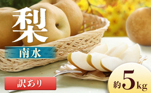 【訳あり】梨 南水 約5kg（8～16玉）※2026年9月14日～9月25日発送予定※　なし ナシ 果物 くだもの フルーツ なんすい 和梨 長野県 長野県産 南信州 信州 豊丘村