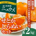 【ふるさと納税】【先行予約受付中】産地直送！愛媛県産せとか2kg・しらぬい（不知火）2kgセット　※2025年2月下旬～3月下旬頃に順次発送予定　≪柑橘 みかん ギフト≫