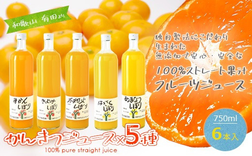 伊藤農園 100%ピュアジュース 大瓶750ml おまかせ6本セット(A224-3)