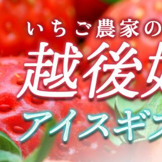 アイス 越後姫アイスギフト 6個 セット 越後姫 アイスクリーム ギフト 詰め合わせ 冷凍 新潟