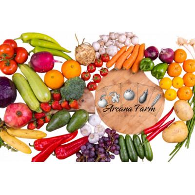 ふるさと納税 南国市 【毎月定期便】新鮮野菜 計9〜11品目全12回 |  | 03