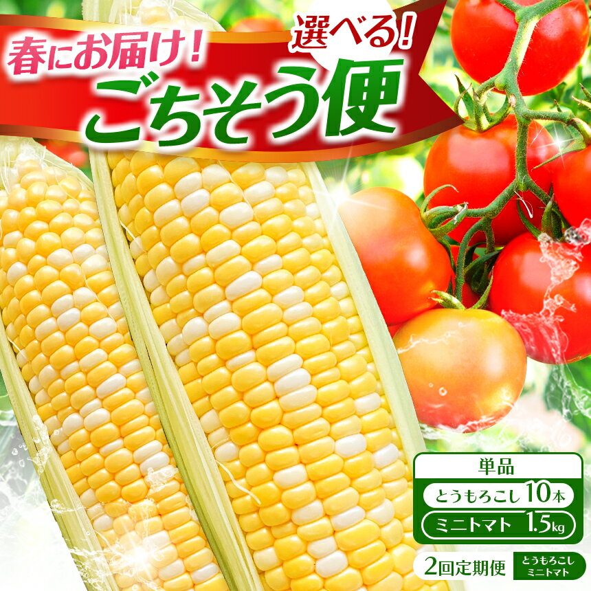 【ふるさと納税】 選べる 種類 スイートコーン 10本 ミニトマト 約1.5kg 定期便 | コーン とうもろこし とうきび 甘い 焼き とうもろこし 茹で とうもろこし 熊本県 玉名市